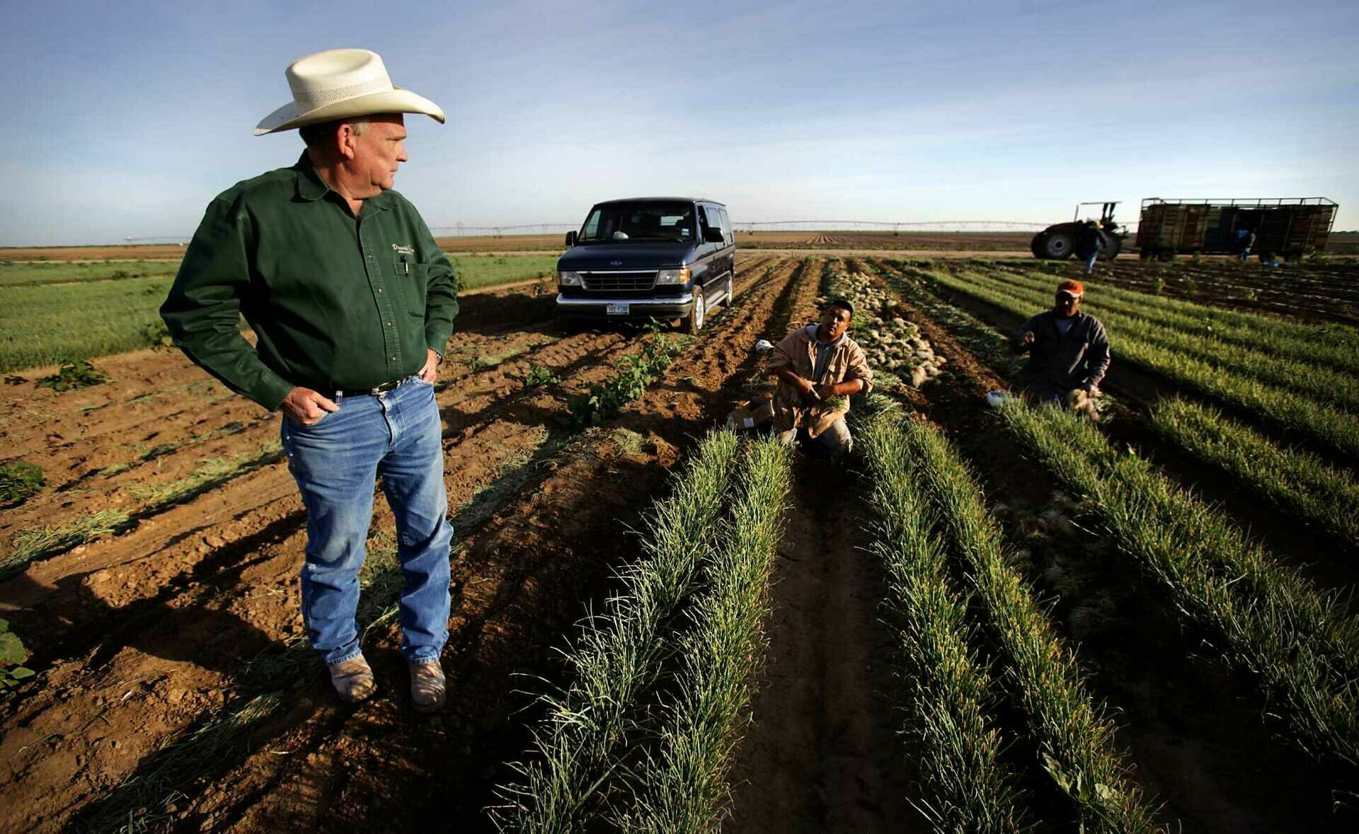 В США фермеры не могут бороться с сорняками без российских удобрений